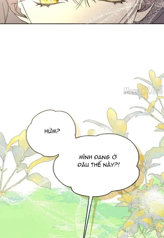Tình Yêu Hỡi, Sao Người Lại Hối Hận Rồi? Chapter 62 - 102