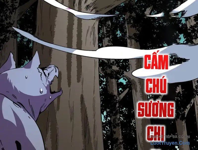 Cấm Chú Sư Mạnh Nhất Lịch Sử Chapter 42 - 76