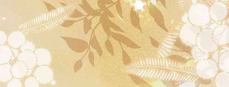 Thiên Tài Phép Thuật Nắm Bắt Khái Niệm Chapter 52 - 155