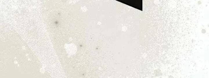 Thiên Tài Phép Thuật Nắm Bắt Khái Niệm Chapter 53 - 80