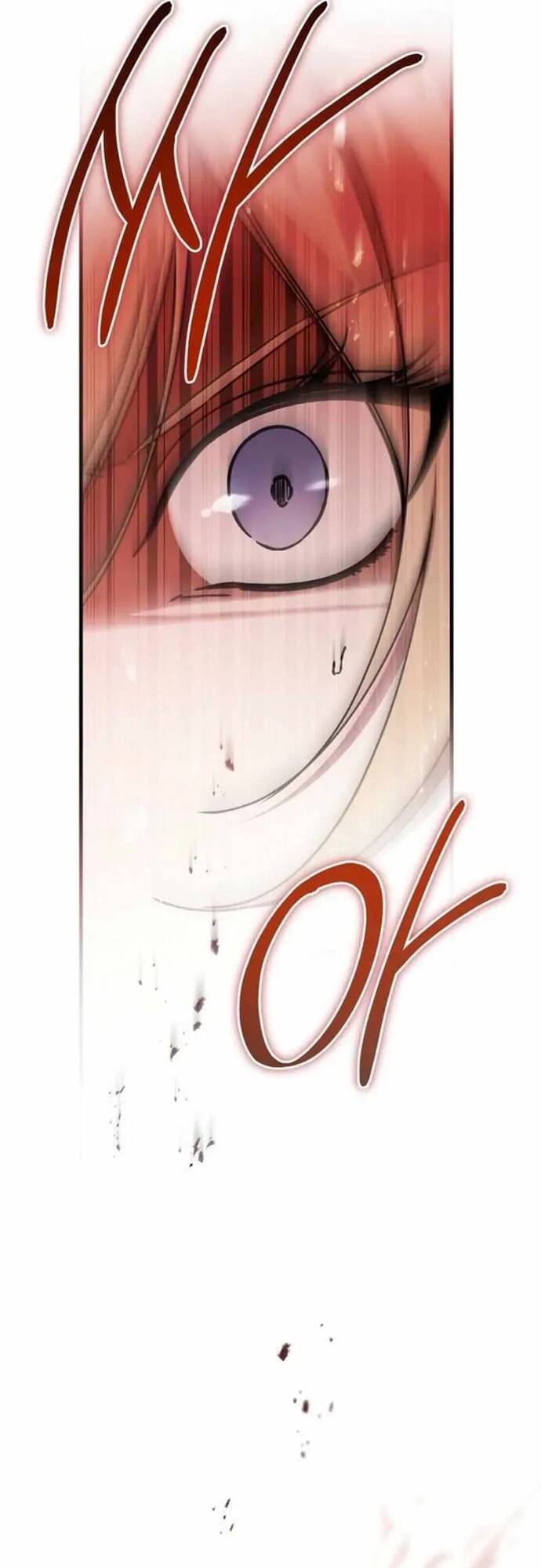 Bản Án Của Quý Tộc Suy Vong Chapter 109 - 4