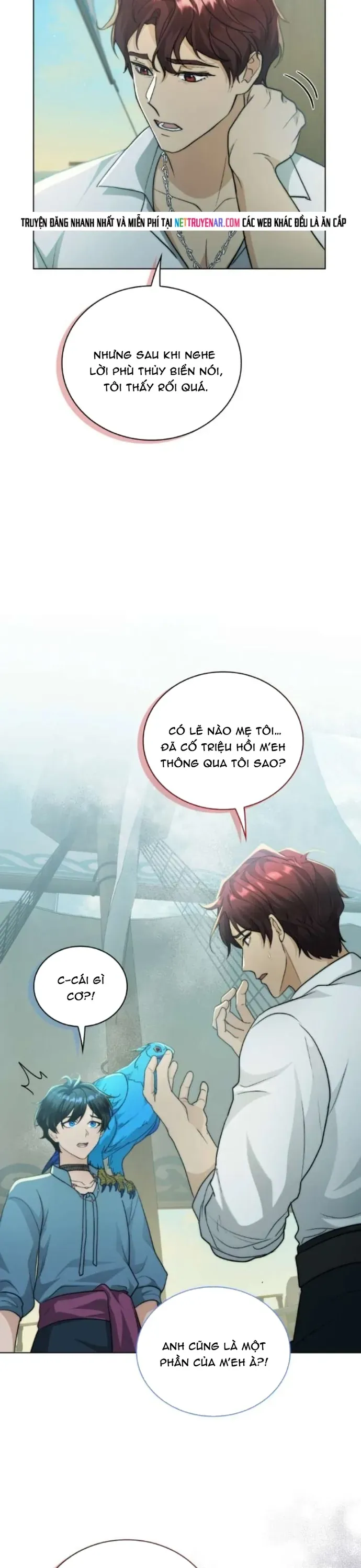 Hải Âu & Sói Hoang Chapter 70 - 23