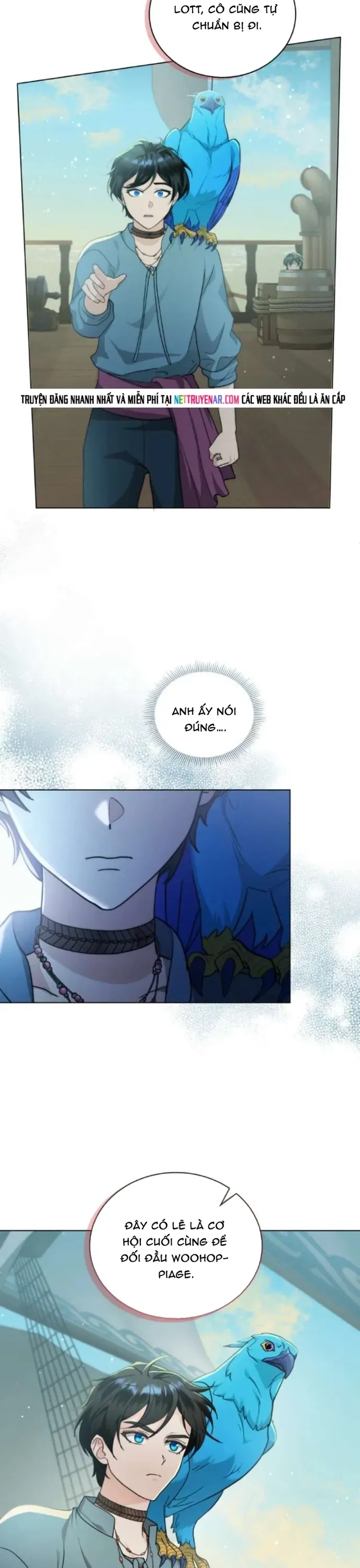 Hải Âu & Sói Hoang Chapter 70 - 25