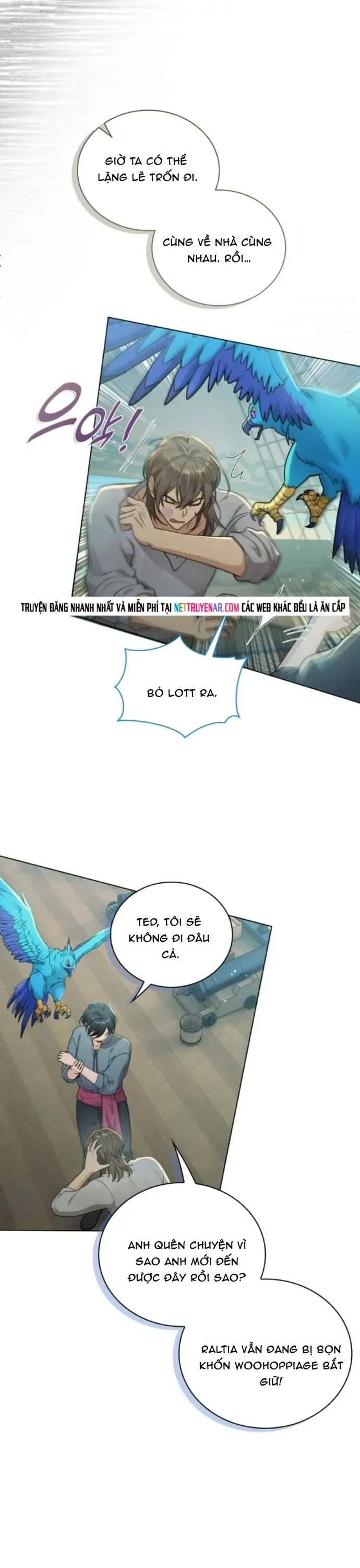 Hải Âu & Sói Hoang Chapter 70 - 27