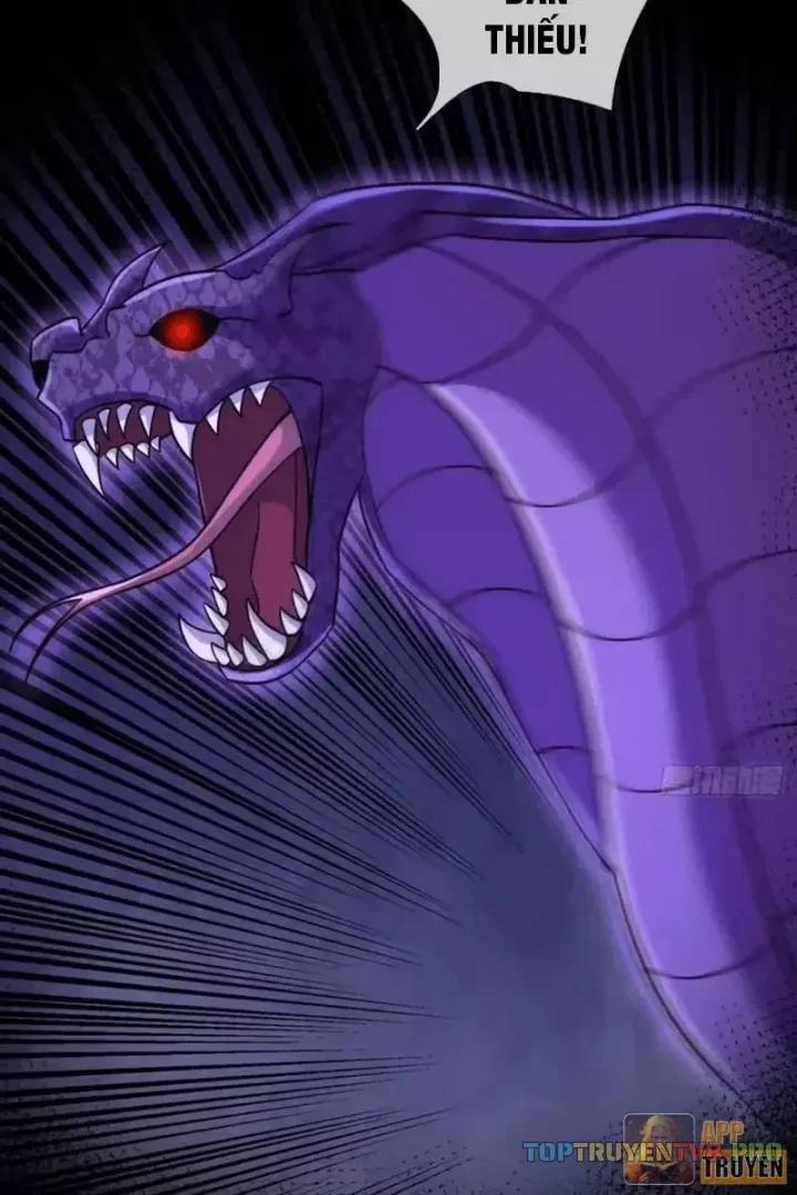 Toàn Cầu Sợ Hãi: Tôi Mở Hack Tự Chọn Cửa Hàng Chapter 53 - 6