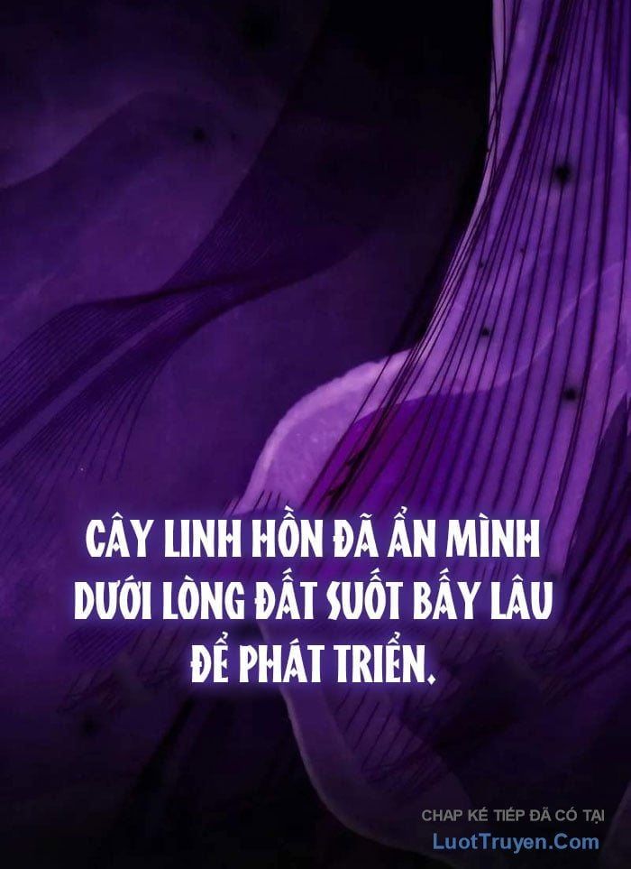 Pháp Sư Thiên Tài Phá Vỡ Giới Hạn Chapter 38 - 29