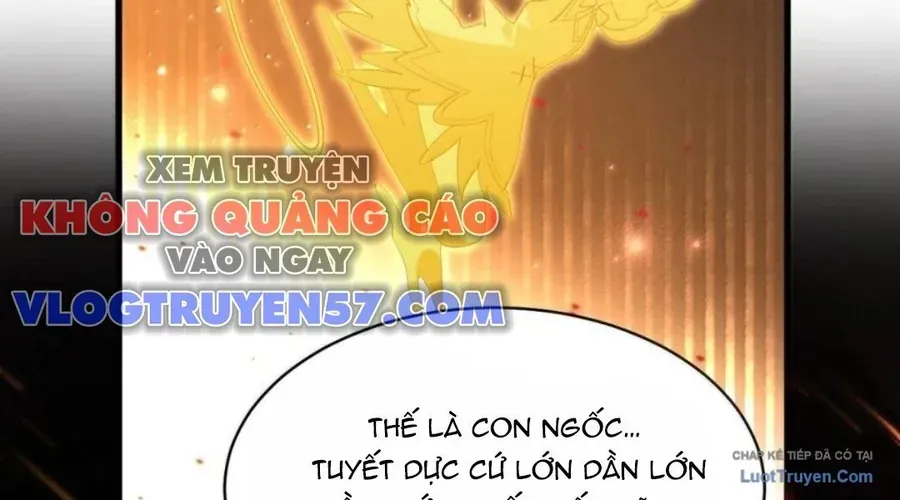 Vượt Cấp Xuyên Không, Tại Sao Tôi Lại Trở Thành Tiểu Thư Tu Sĩ? Chapter 63 - 162