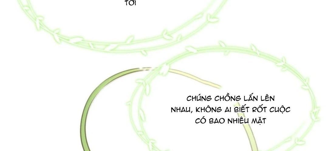 Vượt Cấp Xuyên Không, Tại Sao Tôi Lại Trở Thành Tiểu Thư Tu Sĩ? Chapter 66 - 101