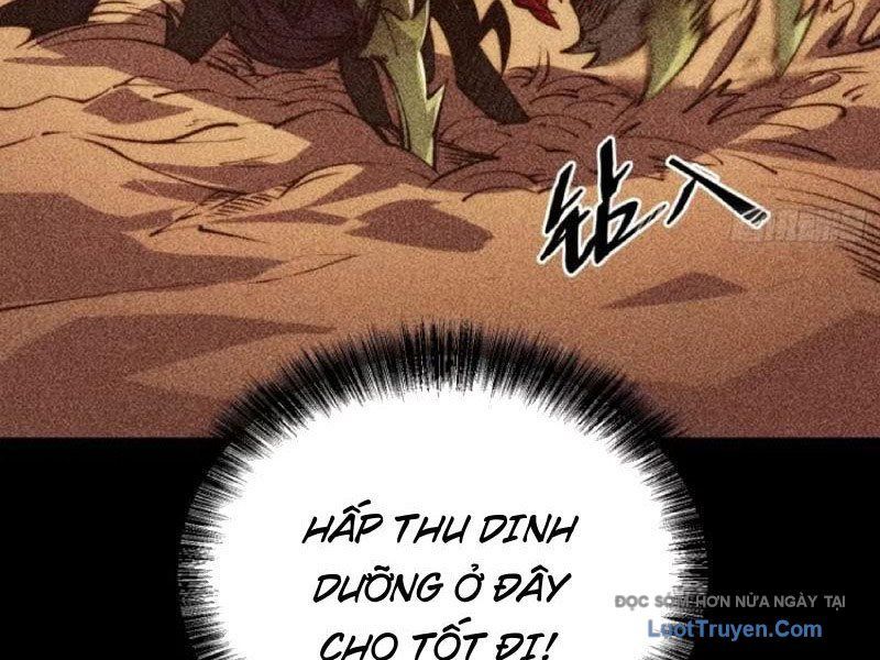 Thức Tỉnh Toàn Chức Chapter 52 - 13