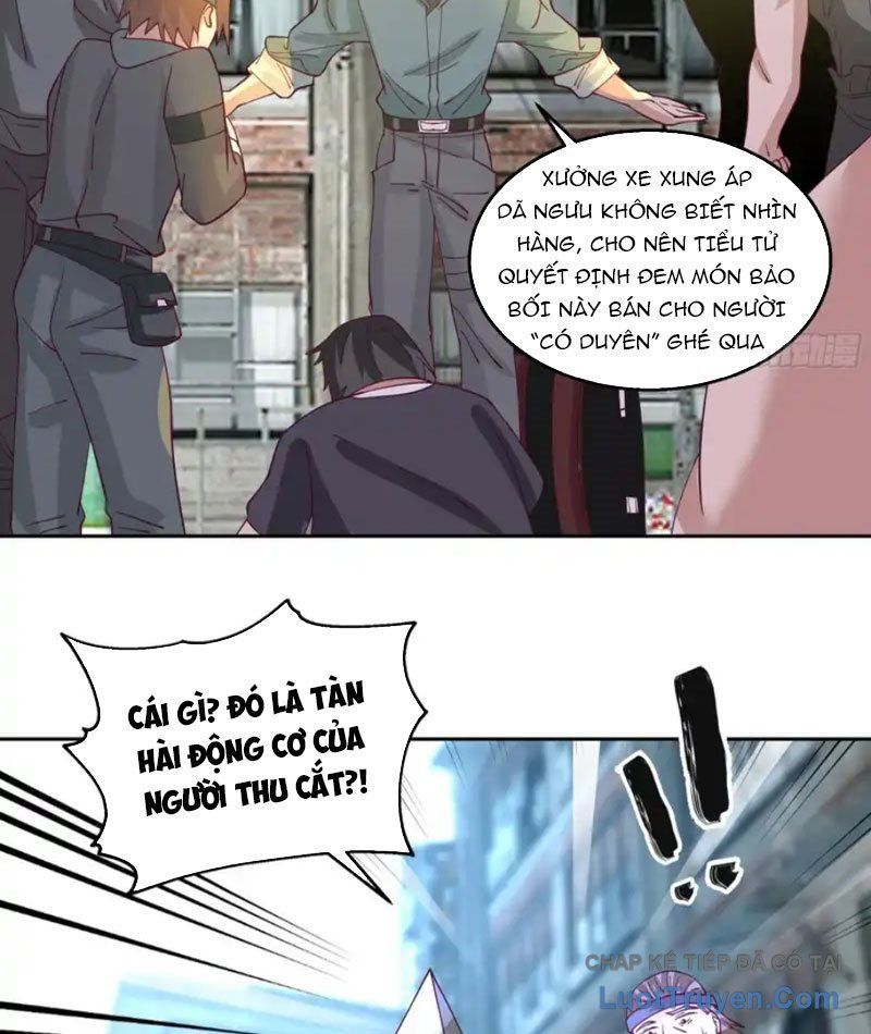Tiến Hóa Ban Đầu Chapter 31 - 48