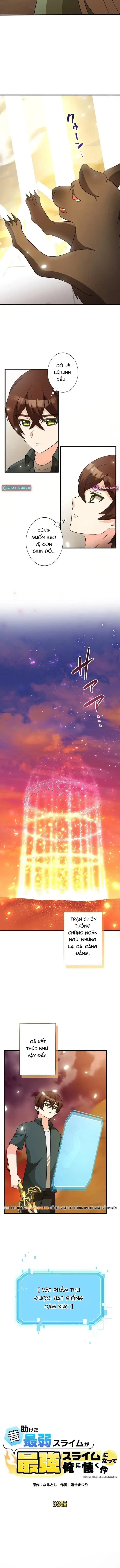 Con Slime Yếu Nhất Ta Từng Cứu Giờ Đã Trở Thành Huyền Thoại! Chapter 39 - 3