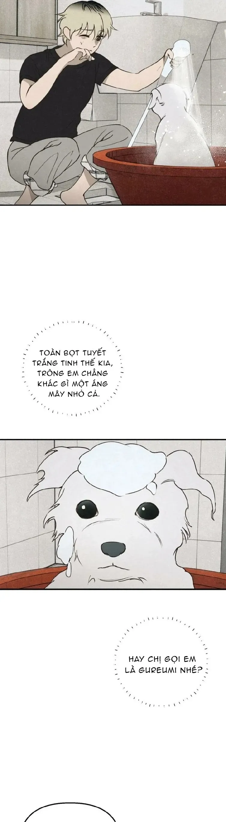 Mùa Hè Bị Nuốt Chửng Bởi Bóng Tối Chapter 22 - 17