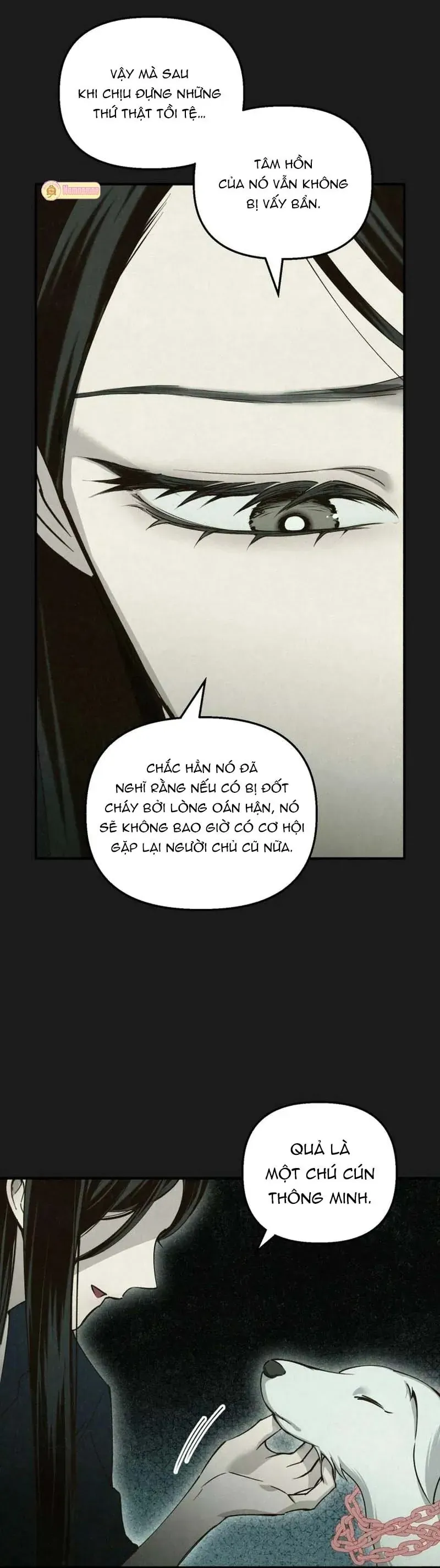 Mùa Hè Bị Nuốt Chửng Bởi Bóng Tối Chapter 24 - 9