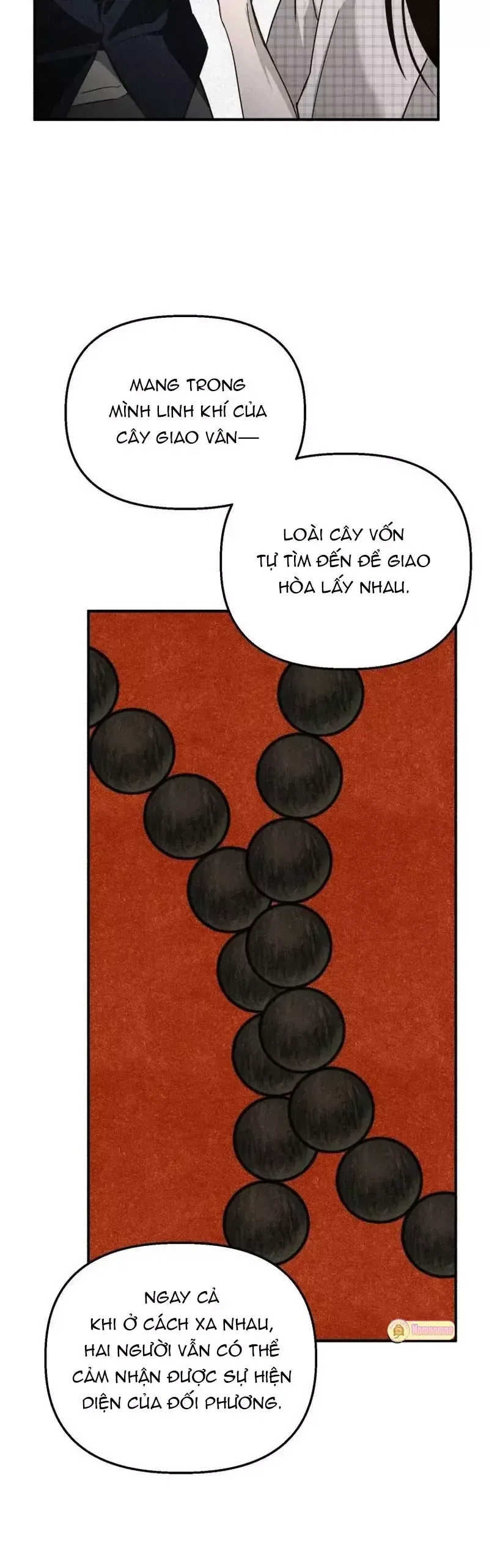Mùa Hè Bị Nuốt Chửng Bởi Bóng Tối Chapter 30 - 28