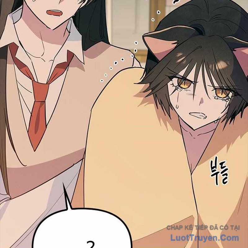 Thiếu Nữ Hoàng Đạo Chapter 50 - 165