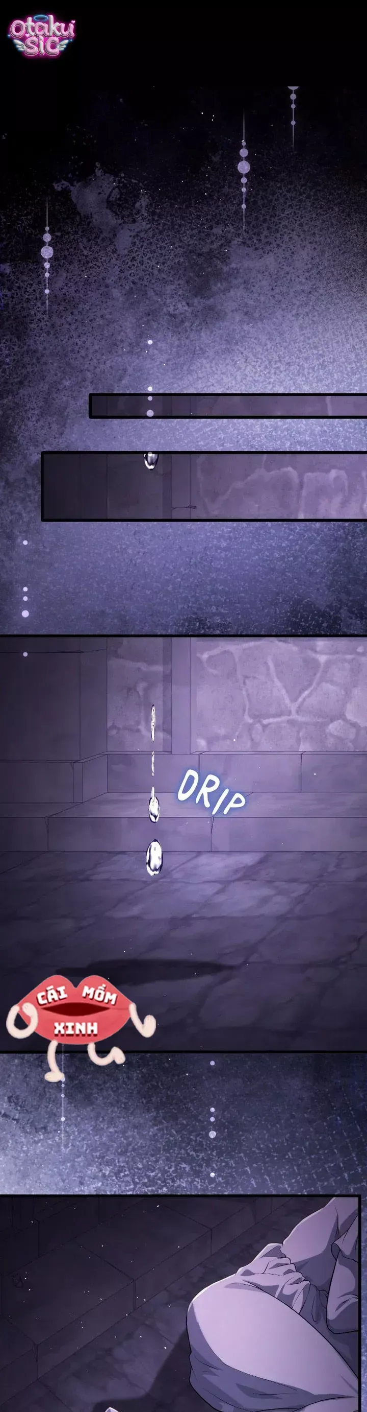 Lời Cầu Hôn Hoang Dã Chapter 56 - 26