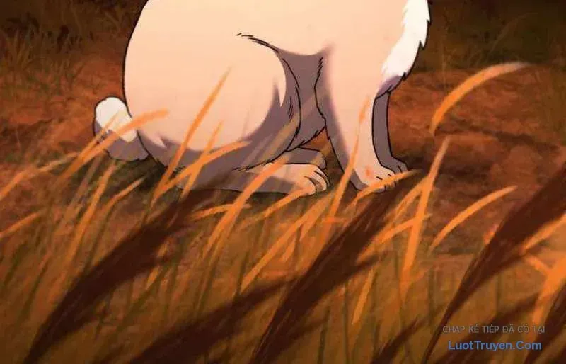 Đường Chuyền Đặc Biệt Của Tiền Vệ Thiên Tài Chapter 46 - 15