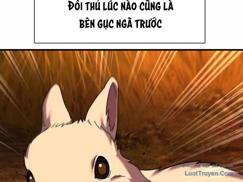 Đường Chuyền Đặc Biệt Của Tiền Vệ Thiên Tài Chapter 46 - 21