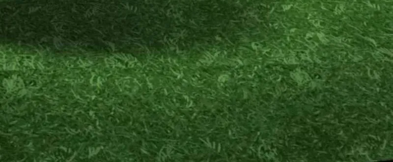 Đường Chuyền Đặc Biệt Của Tiền Vệ Thiên Tài Chapter 49 - 80