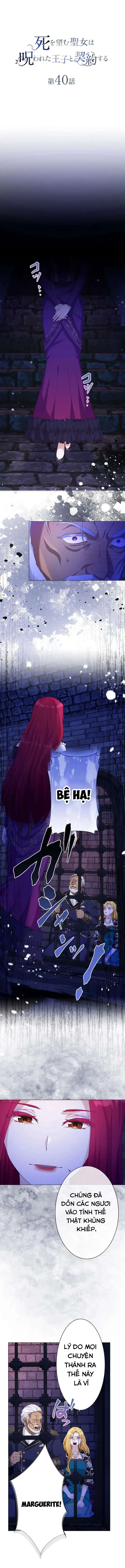 Thánh Nữ Mong Ước Cái Chết Với Hoàng Tử Bị Quyền Rủa Chapter 40 - 4