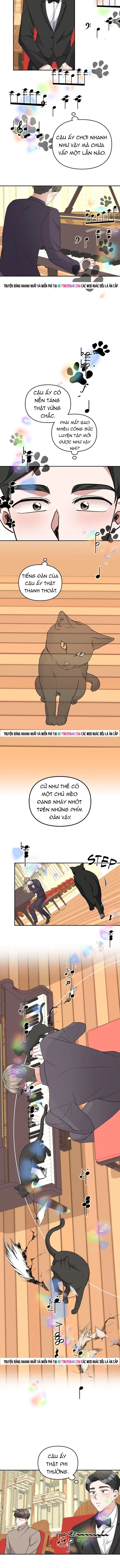 Cuộc Đời Của Thiên Tài Piano Chapter 51 - 5