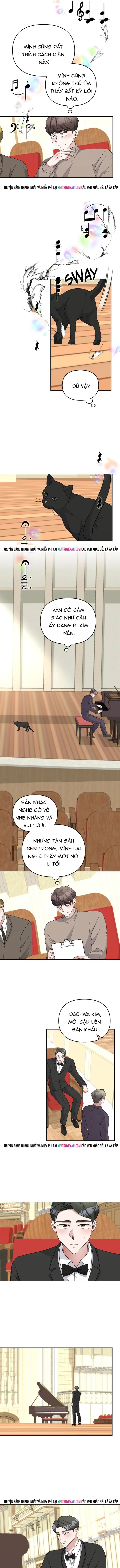 Cuộc Đời Của Thiên Tài Piano Chapter 51 - 6