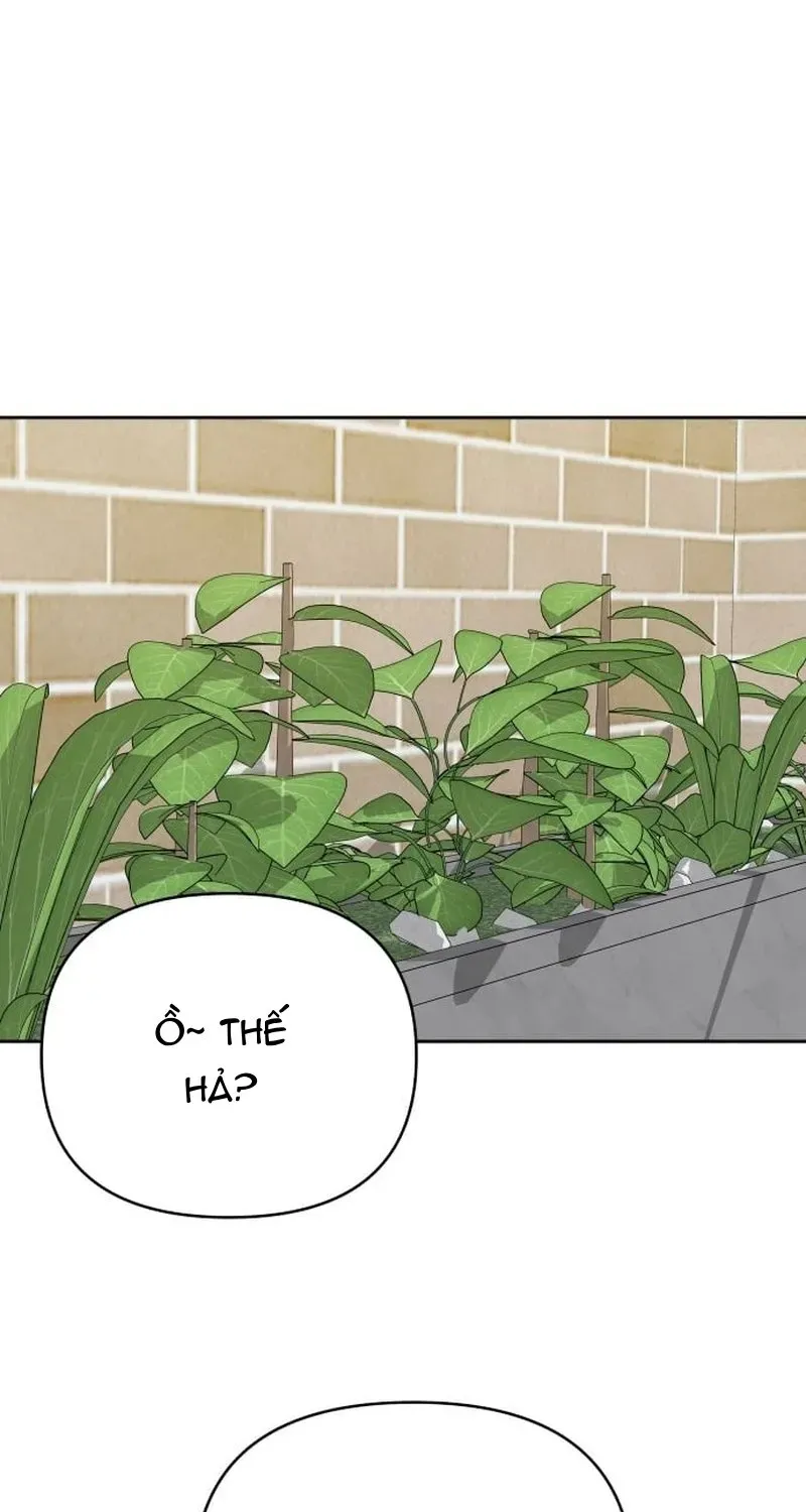 Tôi Có 4 Người Anh Trai Chapter 26 - 79