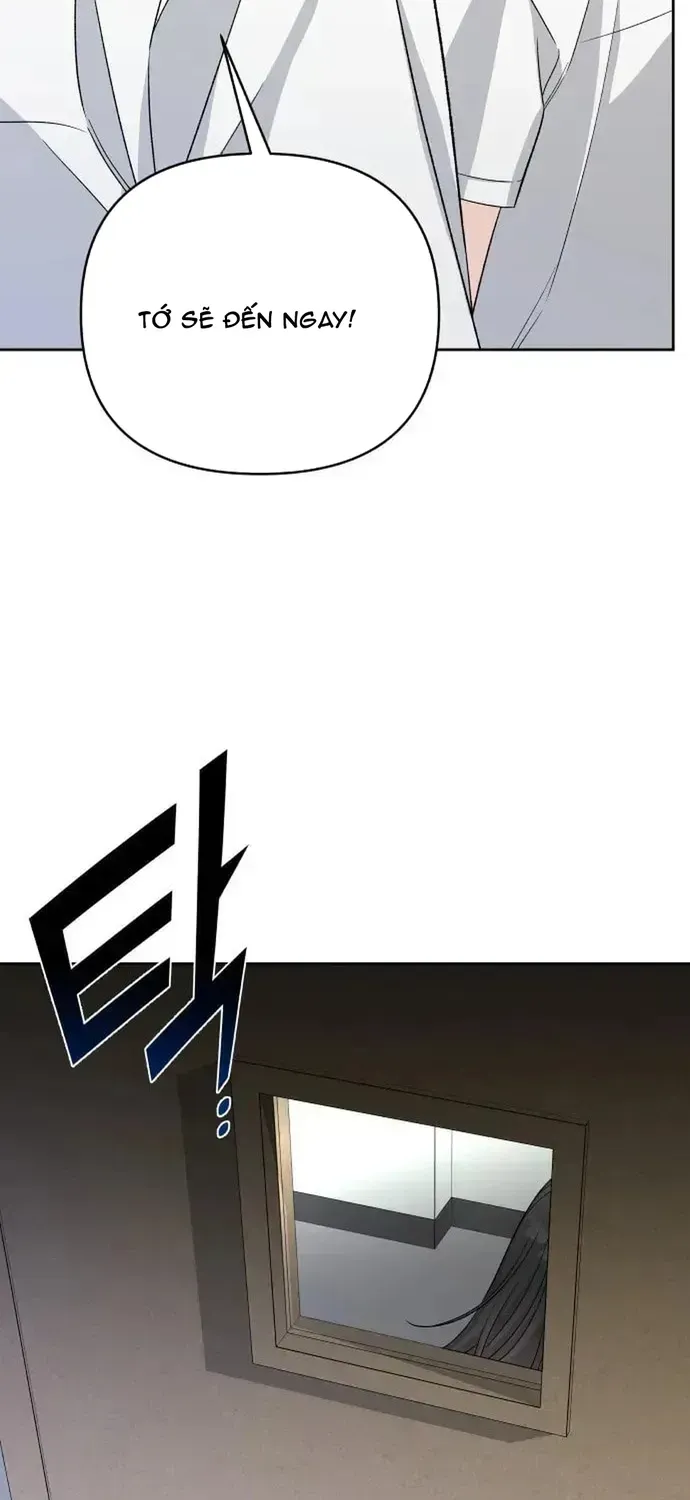 Tôi Có 4 Người Anh Trai Chapter 29 - 56