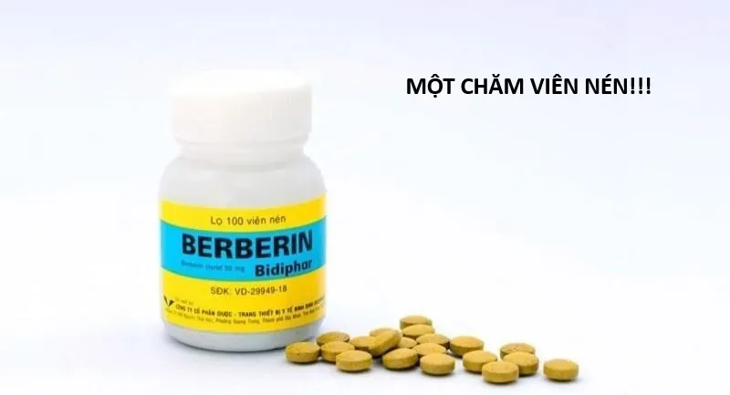 Ngay Cả Khi Hậu Tận Thế, Thật Hạnh Phúc Vẫn Còn Được Sống... Chapter 55.1 - 20