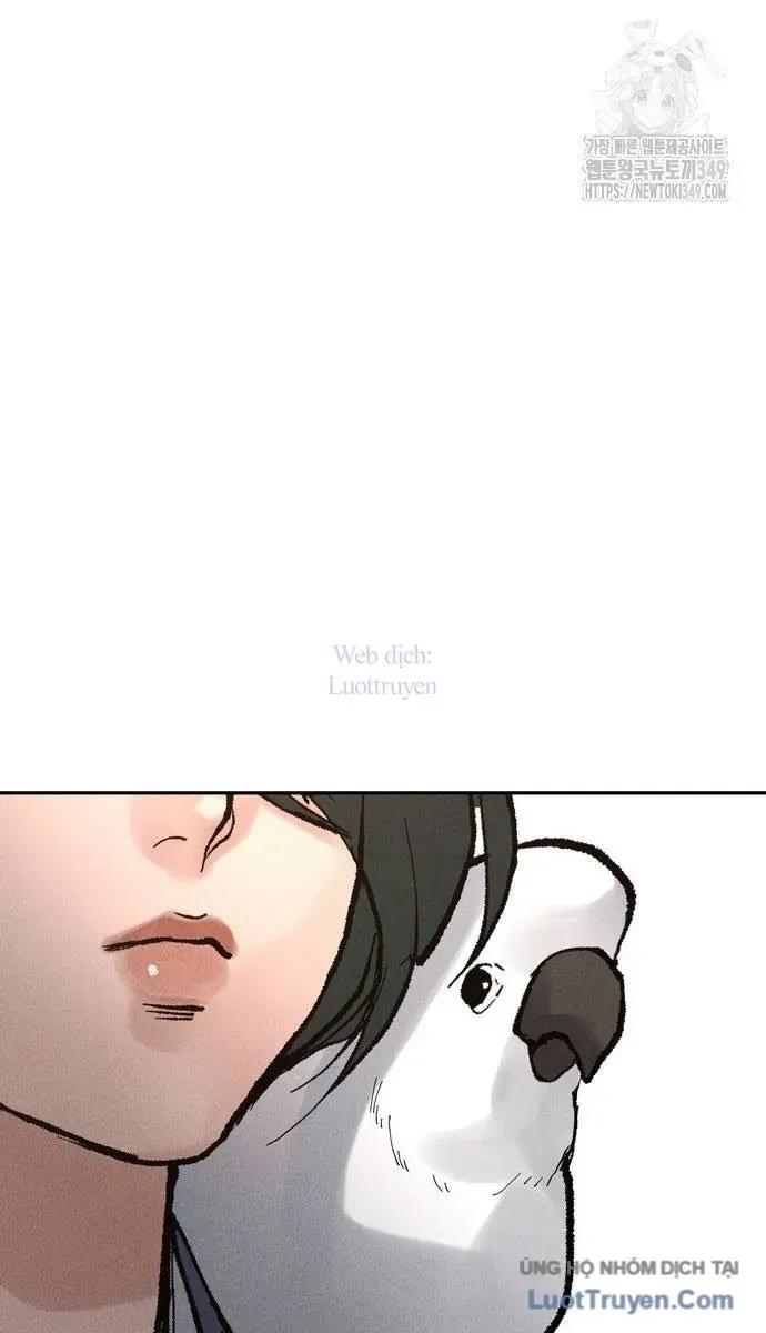 Vô Phạt Chapter 14 - 28
