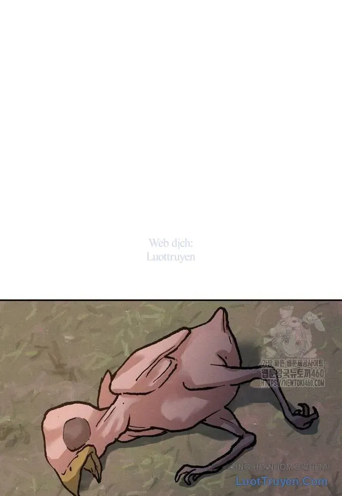 Vô Phạt Chapter 17 - 141