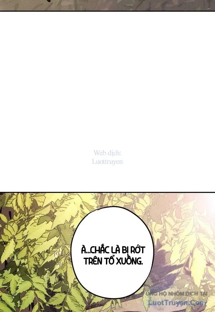 Vô Phạt Chapter 17 - 142