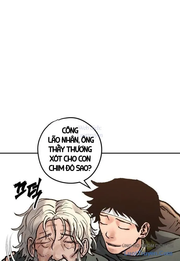 Vô Phạt Chapter 17 - 145