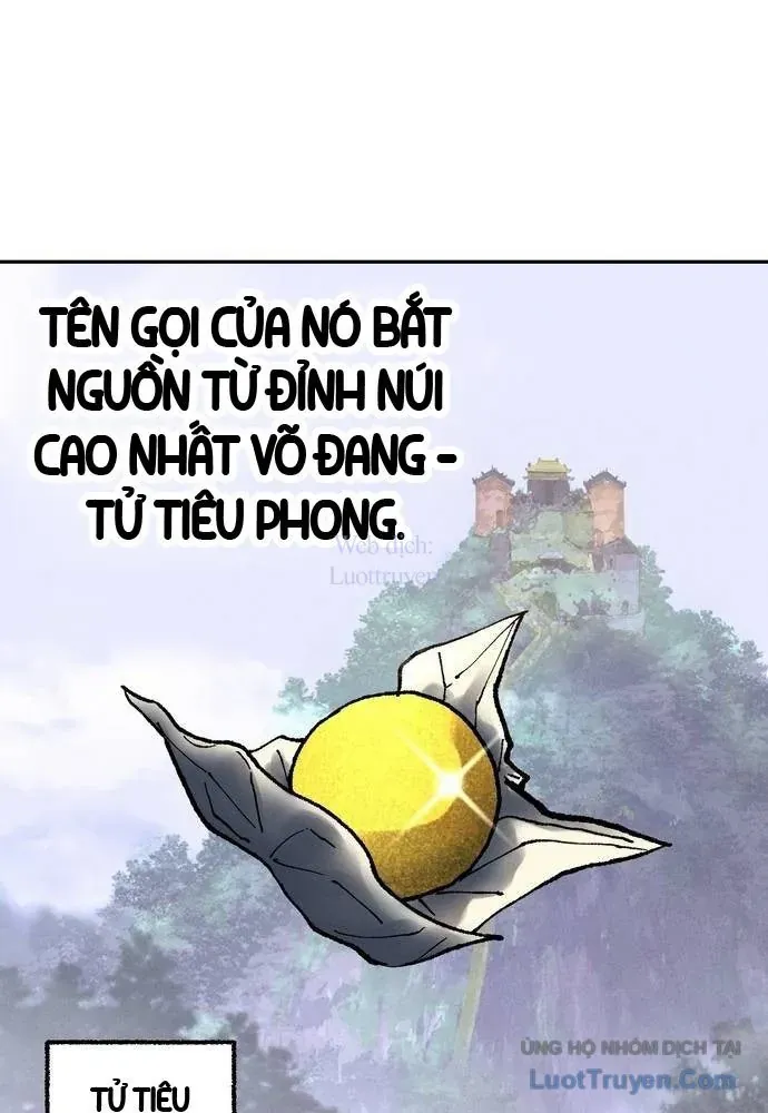 Vô Phạt Chapter 17 - 17