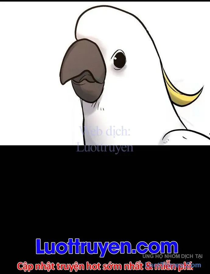 Vô Phạt Chapter 25 - 14