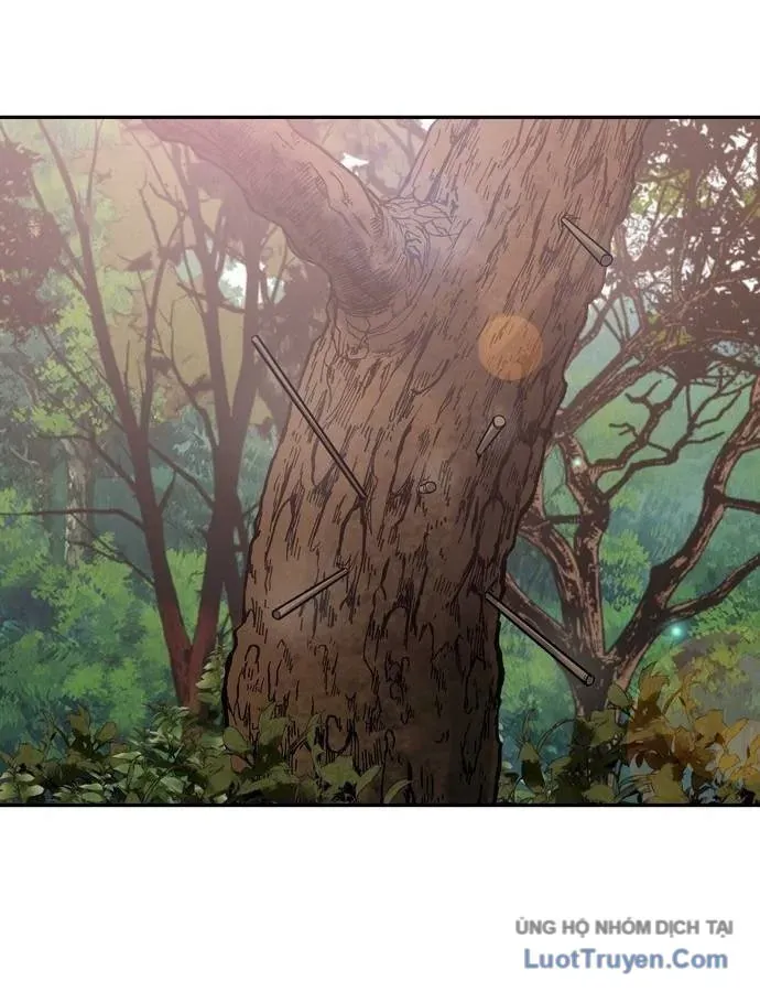 Vô Phạt Chapter 26 - 141