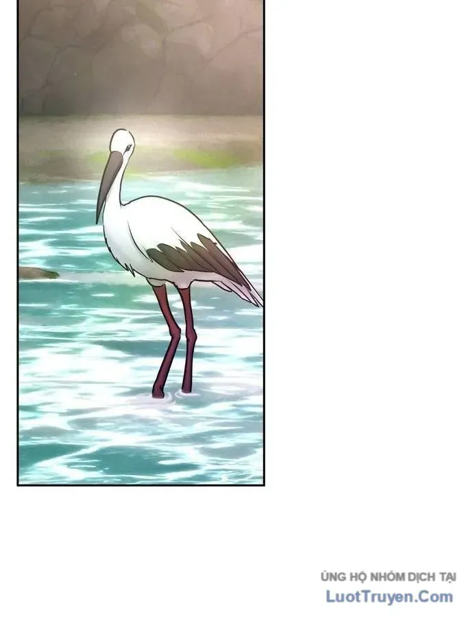 Vô Phạt Chapter 29 - 143