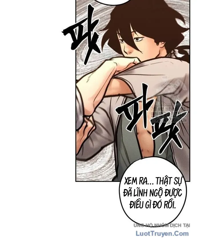 Vô Phạt Chapter 32 - 164