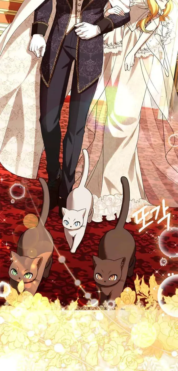 Nữ Bá Tước Bỏ Trốn Đã Quay Trở Lại Chapter 43 - 8