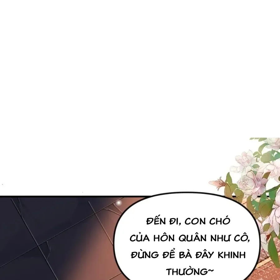 Nữ Đế, Ta Chỉ Yêu Đương Với Nương Tử Chapter 23 - 31