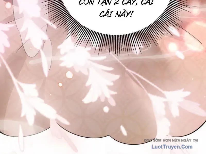 Nữ Đế, Ta Chỉ Yêu Đương Với Nương Tử Chapter 33 - 182