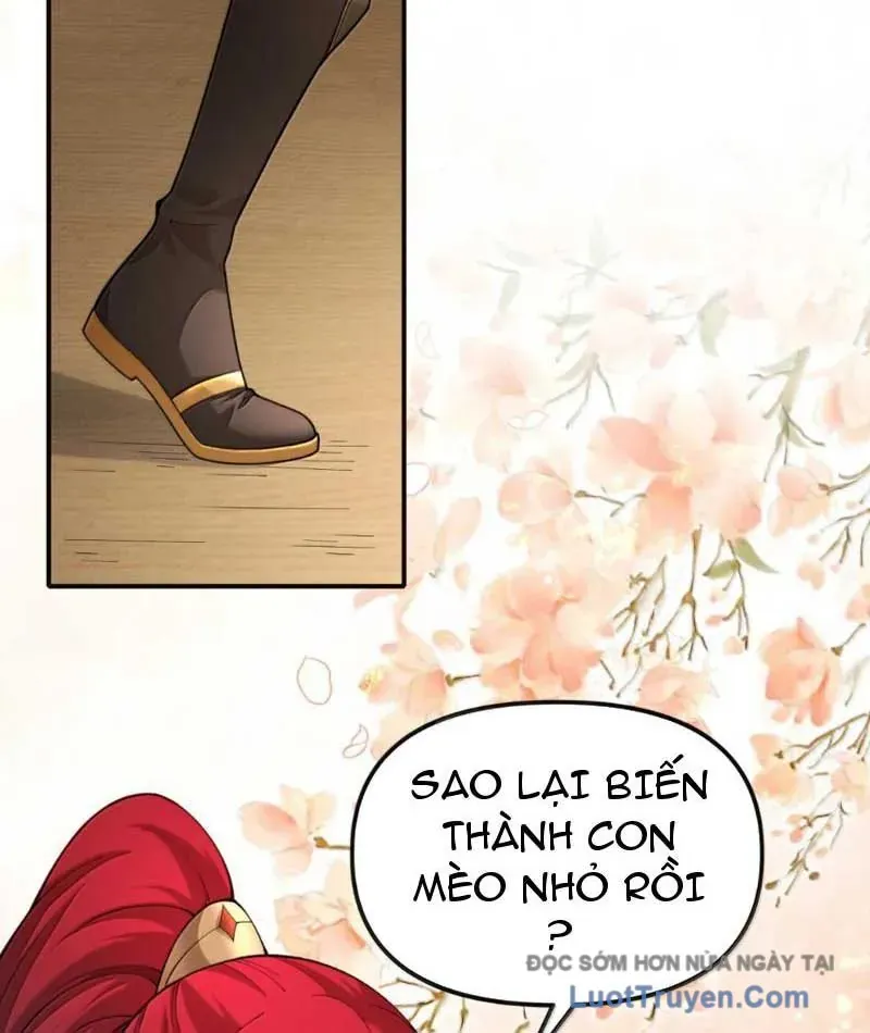 Nữ Đế, Ta Chỉ Yêu Đương Với Nương Tử Chapter 39 - 96