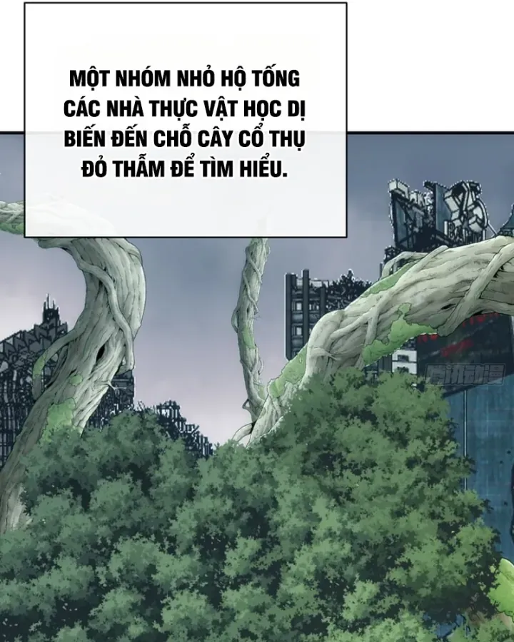 Vô Hạn Tiến Hóa Từ Con Số 0 Chapter 107 - 50