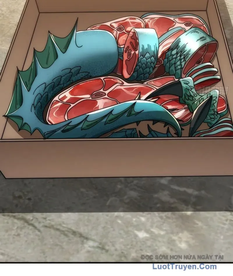 Vô Hạn Tiến Hóa Từ Con Số 0 Chapter 26 - 81