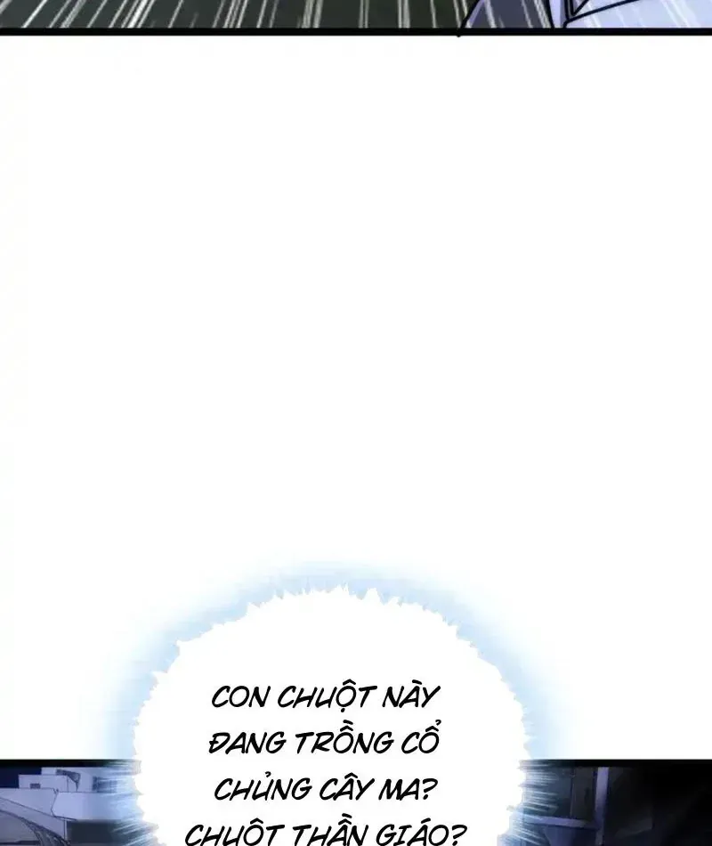 Vô Hạn Tiến Hóa Từ Con Số 0 Chapter 56 - 104