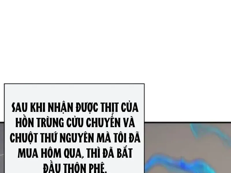 Vô Hạn Tiến Hóa Từ Con Số 0 Chapter 80 - 17