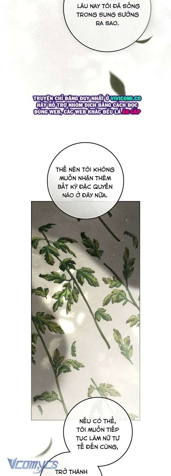 Dưới Bóng Cây Sồi Chapter 128 - 21
