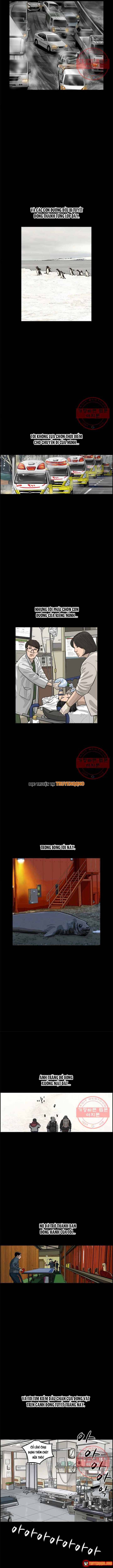 Cá Con (Vảy Cá) Chapter 83 - 4