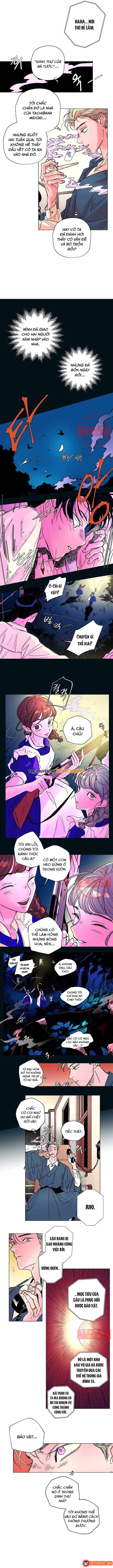 Bá Tước Tachibana Chapter 25 - 7