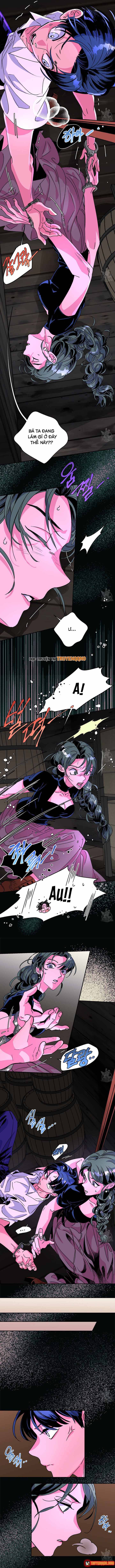 Bá Tước Tachibana Chapter 51 - 3